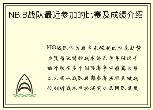 NB.B战队最近参加的比赛及成绩介绍